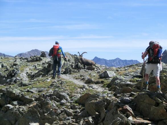 Tag 3: Begegnung nahe der Kaunergrathütte