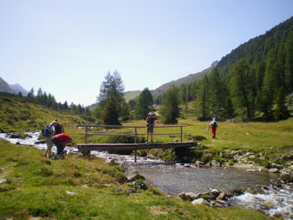 Zurück unterhalb des Parkplatzes