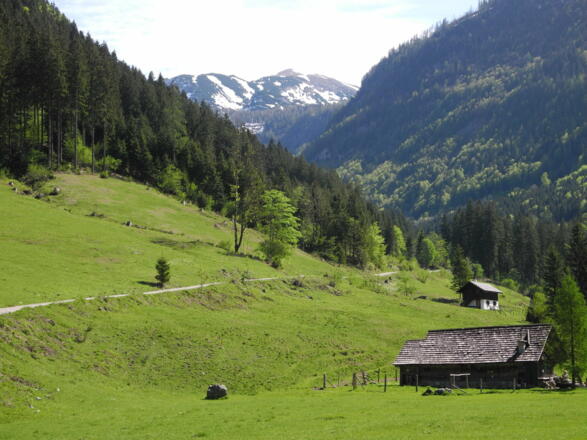 Bald erscheint linksseitig der Schönberg