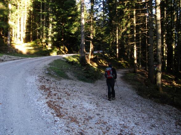 Nach wenigen Minuten Zustieg hier rechts halten