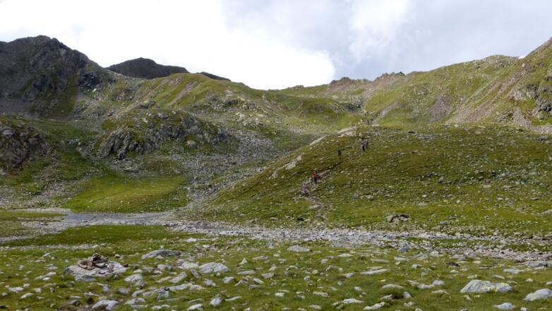 das Grün nimmt immer mehr zu