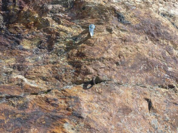 Die Standplatzsituation oben am Turm: ein Bohrhaken, ein Normalhaken.