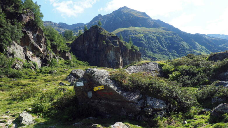 1810m links Forststr. verlassen, WEG 511