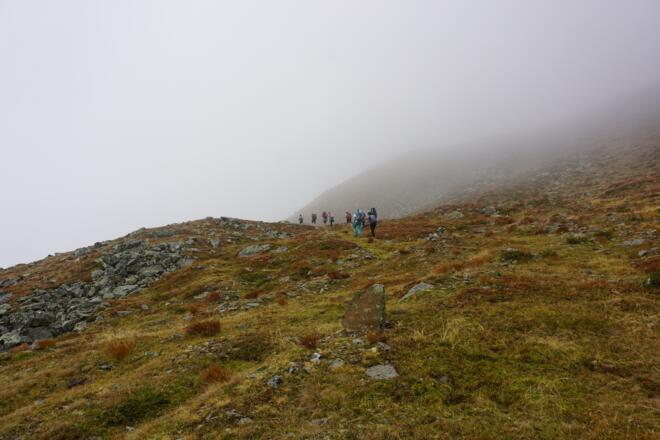 Kreuzung auf 2.320 Meter (Weg 53b Hinterbergkofel / Weg 53 Hallscharte)