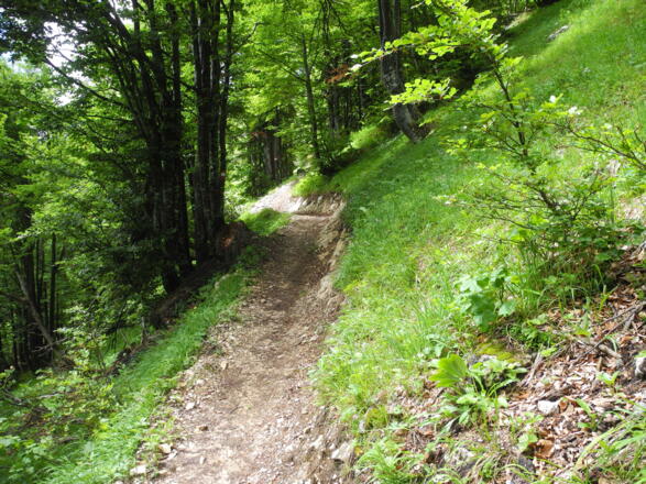 Der Weg zur Aussichtsplattform ist in sehr gutem Zustand.