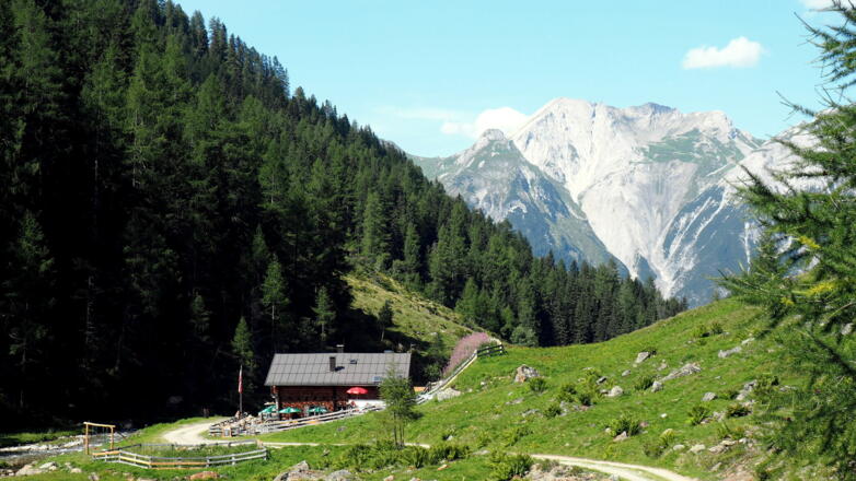 Vord. Malfonalpe 1687m