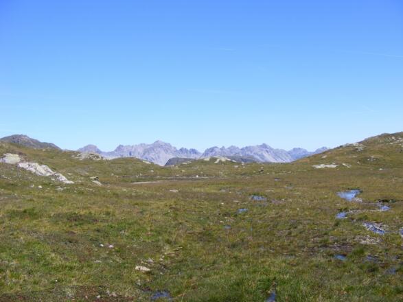 die Lechtaler Alpen über de Talschluss des Maroitales