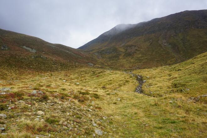 Wiesenhänge oberhalb der Weißbachalm