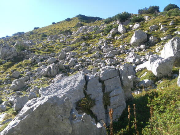 Nordrücken des Marsteins