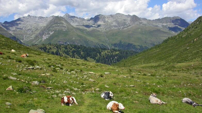 Auf dem Abstieg vom Gsieser Törl zur Lappachalm; li. die Seespitze