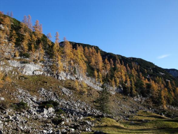 Herbststimmung beim Rückweg zur Ischler Hütte