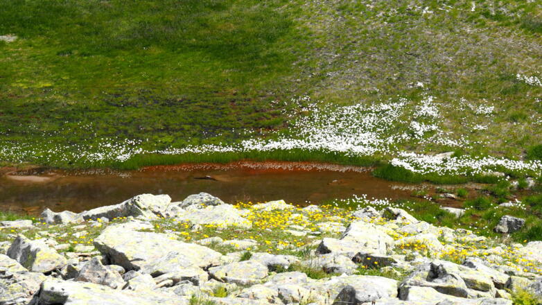 Kleiner See vor der Hütte um 1430m