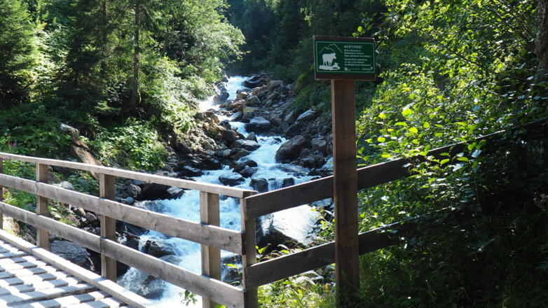 Forststraßen-Brücke ~1435m
