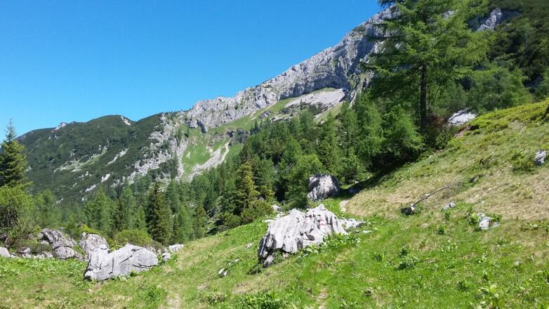 Die Steilen Graßhänge in der Bildmitte müssen am oberen Rand gequert werden