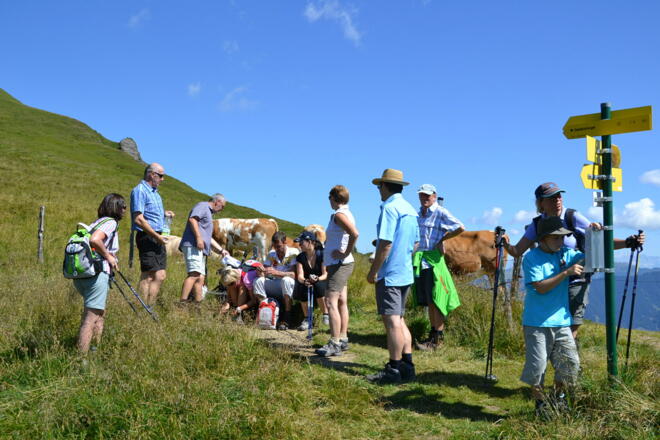 Rast auf der Tofernscharte, 2091m