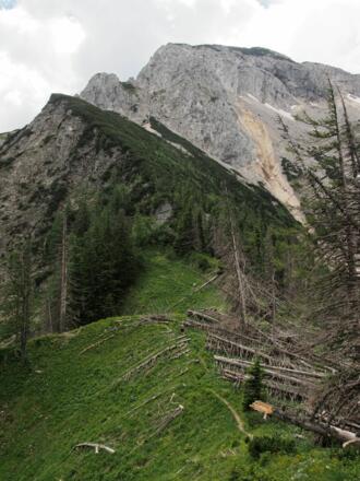 Wegverlauf in Richtung Haltersitz, im Hintergrund der NO-Grat, rechts davon das Nockkar