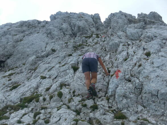 nordseitige Gipfelwand