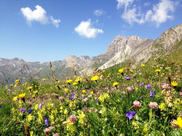 Landschaft rund um die Stoankasern