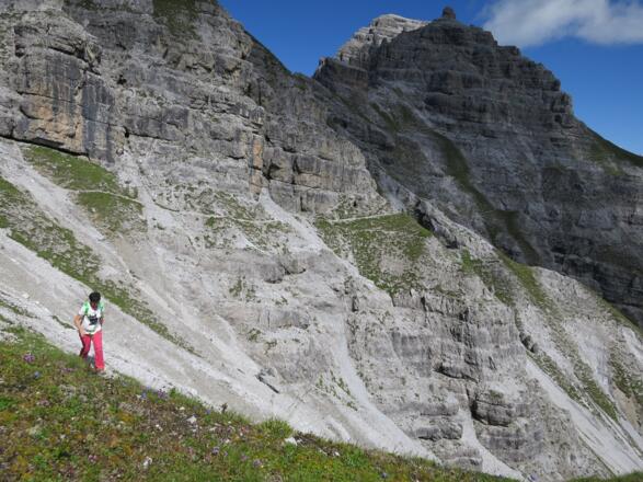 ... teilweise ausgesetzt ...