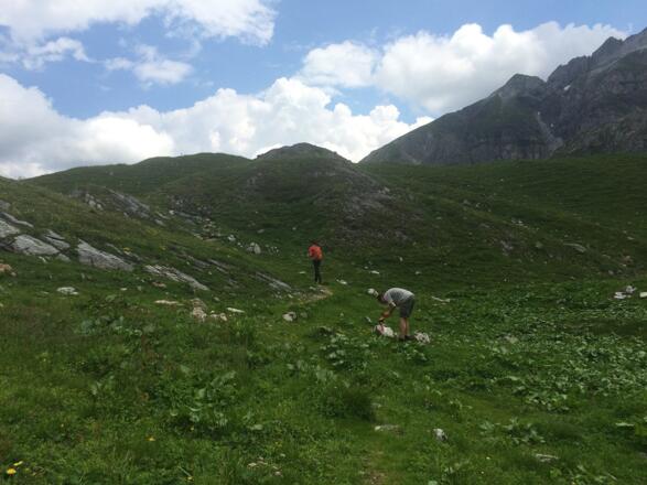 Am Zentralalpenweg (702)