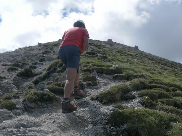Gipfelwiese ist deutlich steiler als am Bild