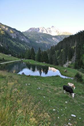 Mosermandl von Westen