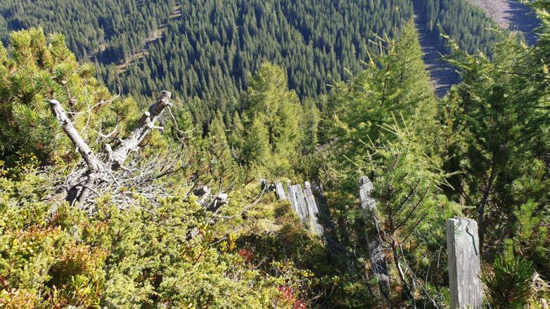 Anfangs in Aufstiegsrichtung rechts vom Zaun