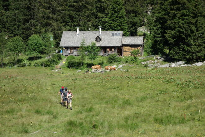 Feichtauhütte