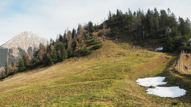 Vom Arlingsattel zum Kl. Bosruck 1466m
