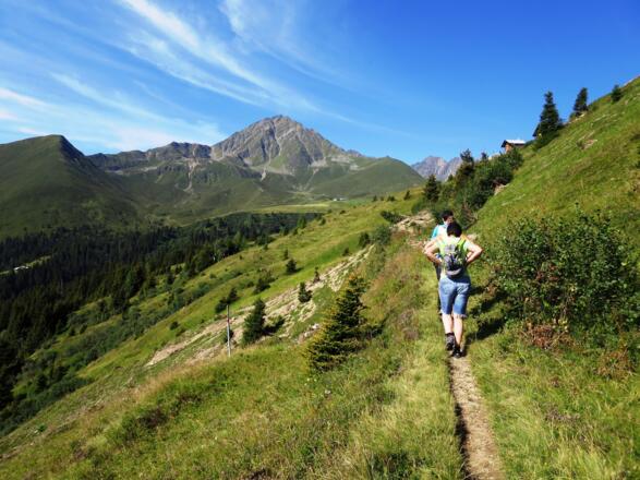 Unterwegs zum Krimpenbachsattel. In Bildmitte die Krimpenbachalm (kein Ausschank), hinten der Roßkogel.