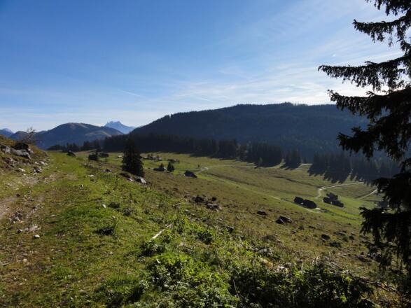 Rückblick zur Hintereggeralm und Blick zu den Ennstaler Alpen