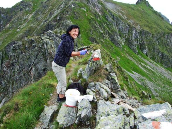 Neues Farbgewand für die Trockenbrotscharte. Auch gut zu sehen, der schmale Weg über die Scharte