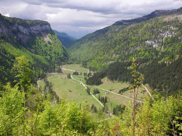 Blick auf die im Tal gelegene Rettenbachalm.