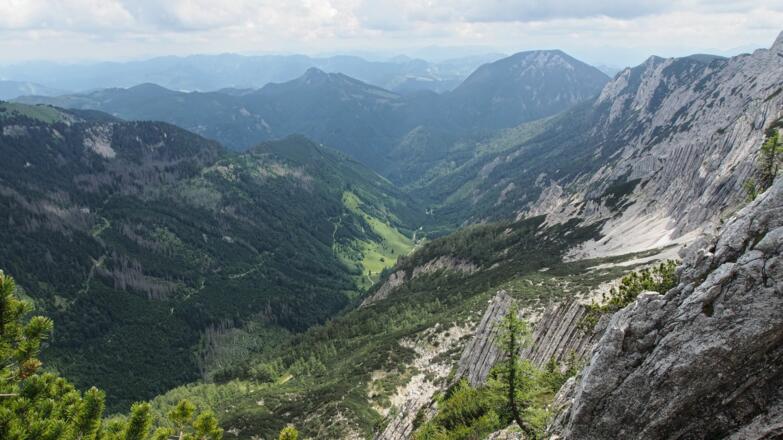 Tiefblick auf die Blumaueralm (Bodinggraben)