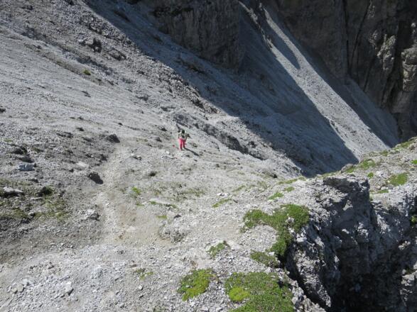 ... wieder ausgeprägt, der Untergrund fester.