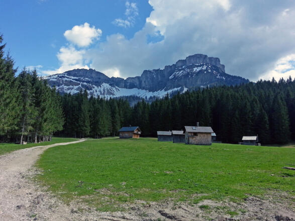 Auf der Blaa Alm - Blick zur Gschwand Alm am Loser