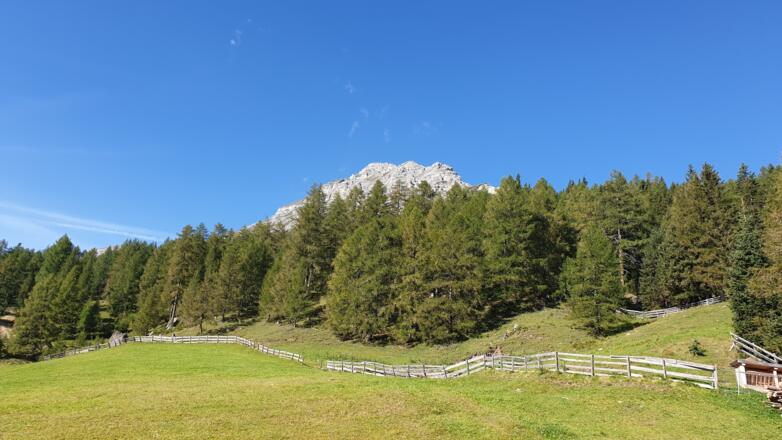 Das Gipfelkreuz ist vom Parkplatz aus schon zu sehen