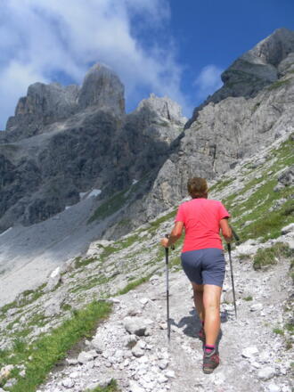 Bischofsmütze am Weg zum Steiglpass