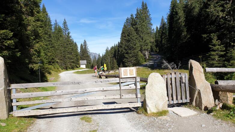 Kurz nach diesem Gatter geht es links den Wald hinauf