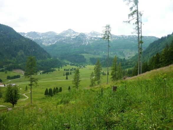 Tourbeginn - Vordergnadenalm