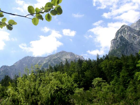 Gamsspitz vom Tal gesehen