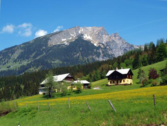 Gamsfeldmassiv vom Pass Gschütt