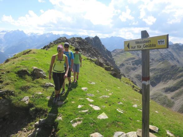 An der Weggabelung Weißstein - Roßkogel - Hirscheben. Hinten der Weißstein, ganz hinten links der Lüsenser Fernerkogel.
