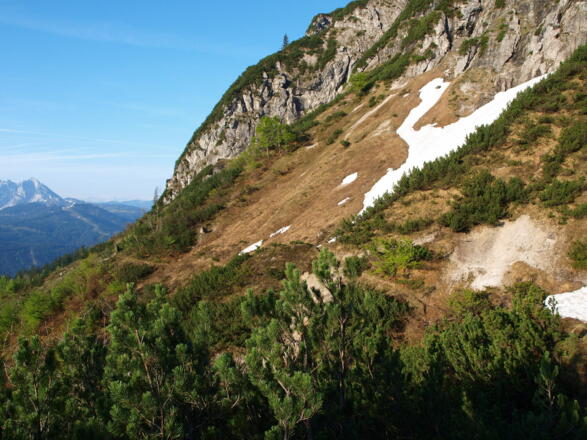 Querung nach Schloßkar 1375m zum Schneegraben