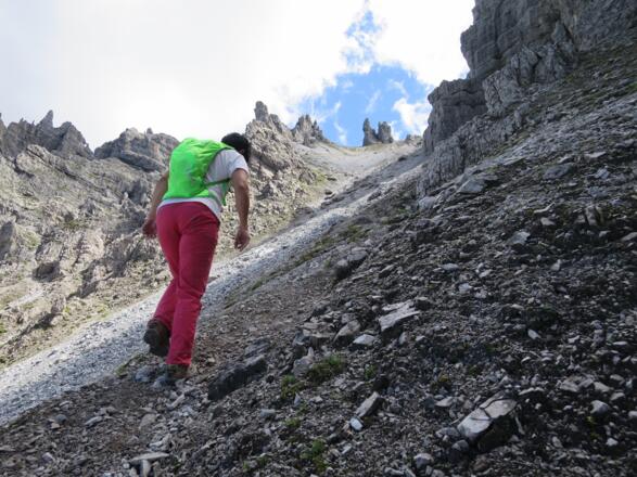Im letzten Drittel wird der Weg ...