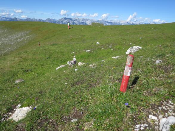 Über den Hochtennboden markieren Holzpflöcke den Weg zur Weggabelung &quot;Hoadl&quot; - &quot;Halsl&quot;.