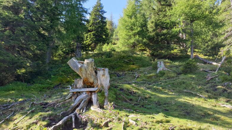 Hier starten die grünen Markierungen