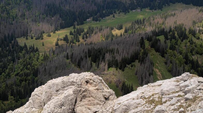 Rückblick vom Gratverlauf auf die Feichtau