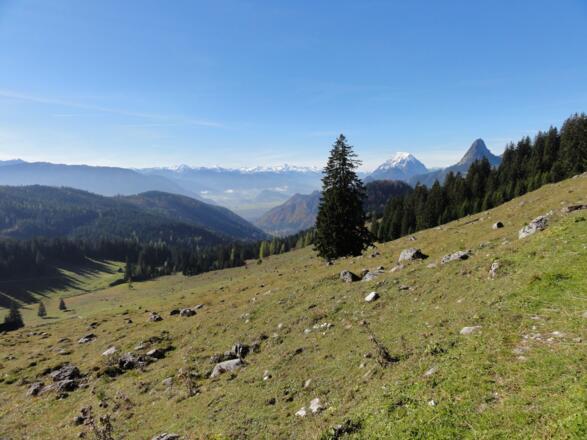Ausblick zum Grimming und Hochtausing