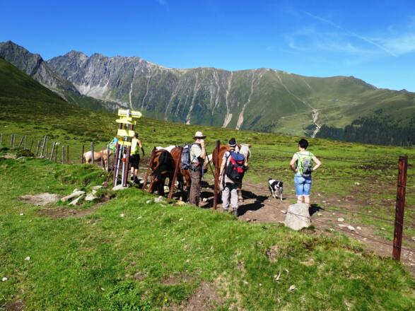 Am Krimpenbachsattel (1896 m) beginnt die lange Querung ...